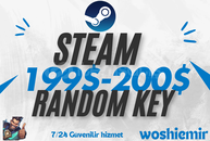 ⭐STEAM⭐VIP 200$+ RANDOM KEY | OTO TESLİMAT