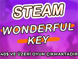 Steam Wonderful Key