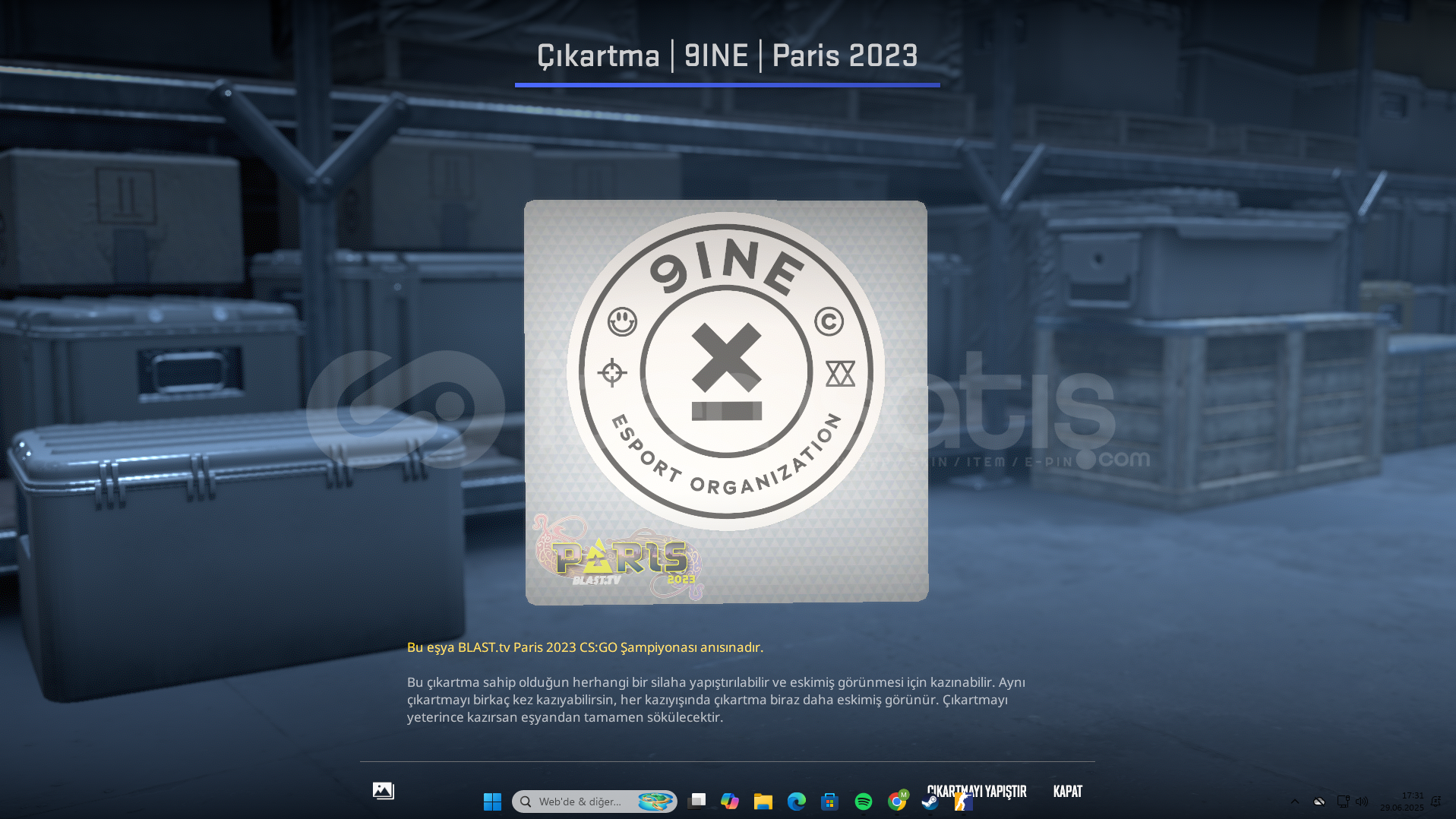 Sticker | 9INE | Paris 2023 Sticker | 9INE | Paris 2023