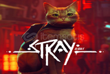 ⭐Stray⭐