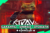 STRAY