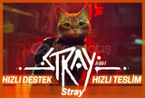 Stray