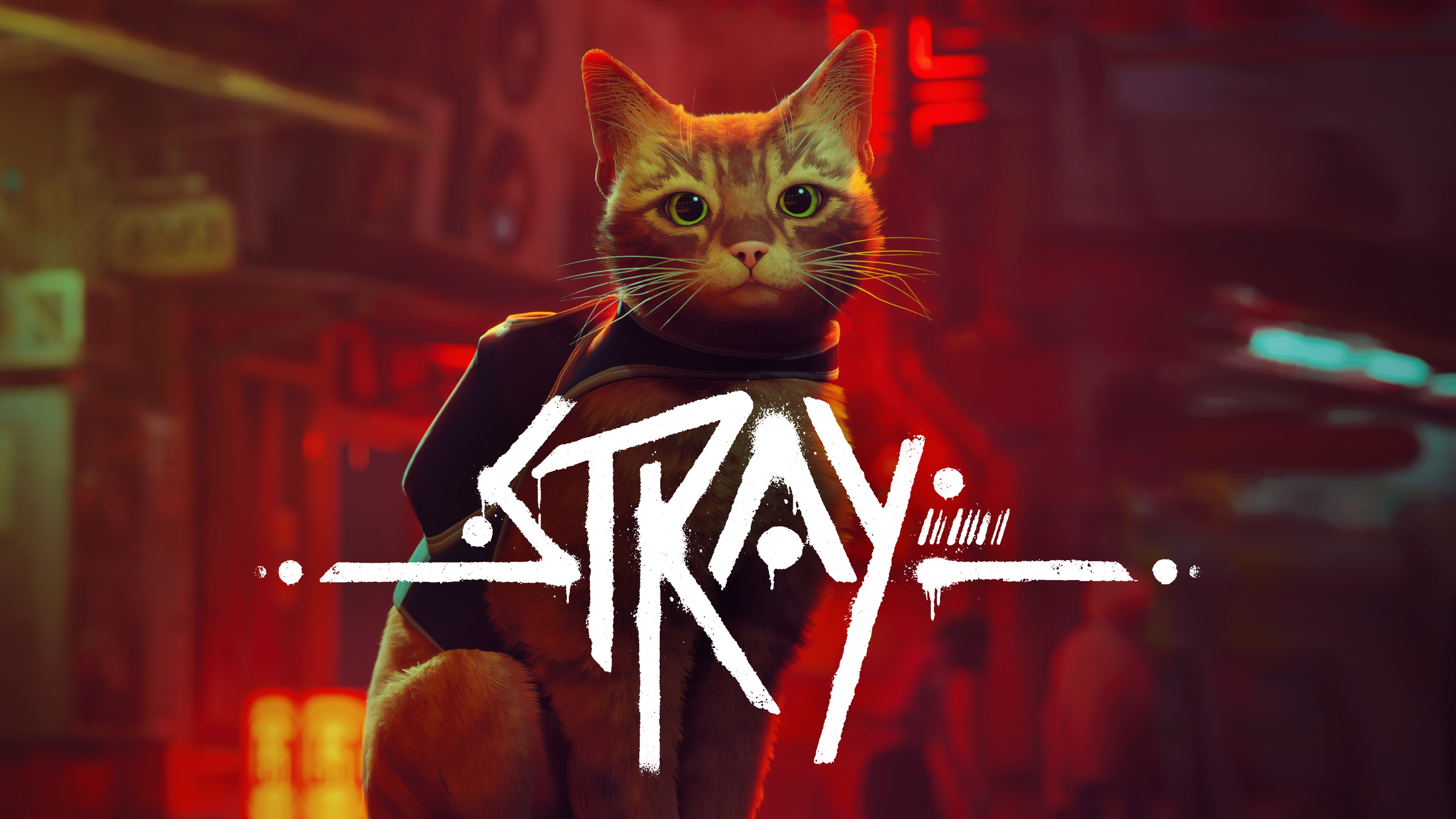 Stray + Garanti Stray + Garanti