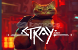 ⭐Stray + Garanti