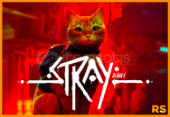 Stray + Garanti