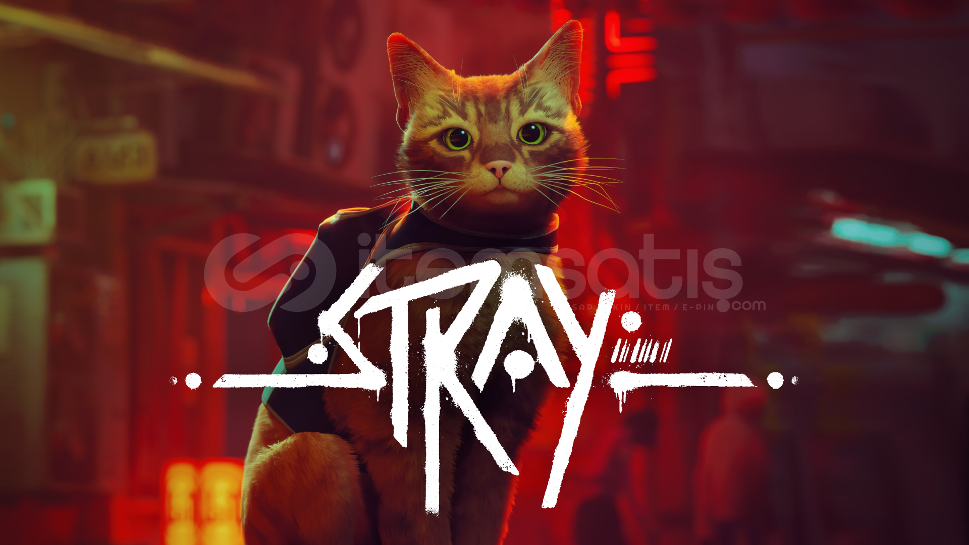 Stray + Garanti Stray + Garanti