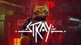 Stray + Garanti