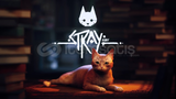 Stray + Garanti