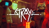 Stray + Garanti + Sınırsız Destek