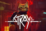 Stray +Garanti + Sınırsız Destek