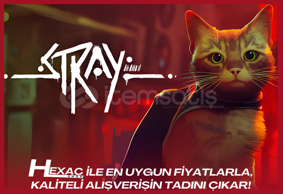 ⭐Stray |✅Garantili! ⭐Stray |✅Garantili!