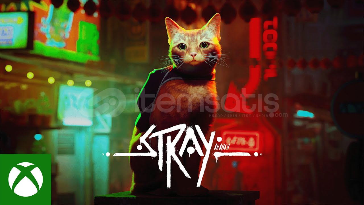 Stray One S X İade Garantili Stray One S X İade Garantili