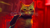 STRAY OTO TESLİMAT