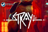 STRAY PC - SÜRESİZ GARANTİ