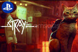 STRAY PS4-PS5 - %100 MEMNUNİYET