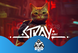 Stray Steam Hesabı