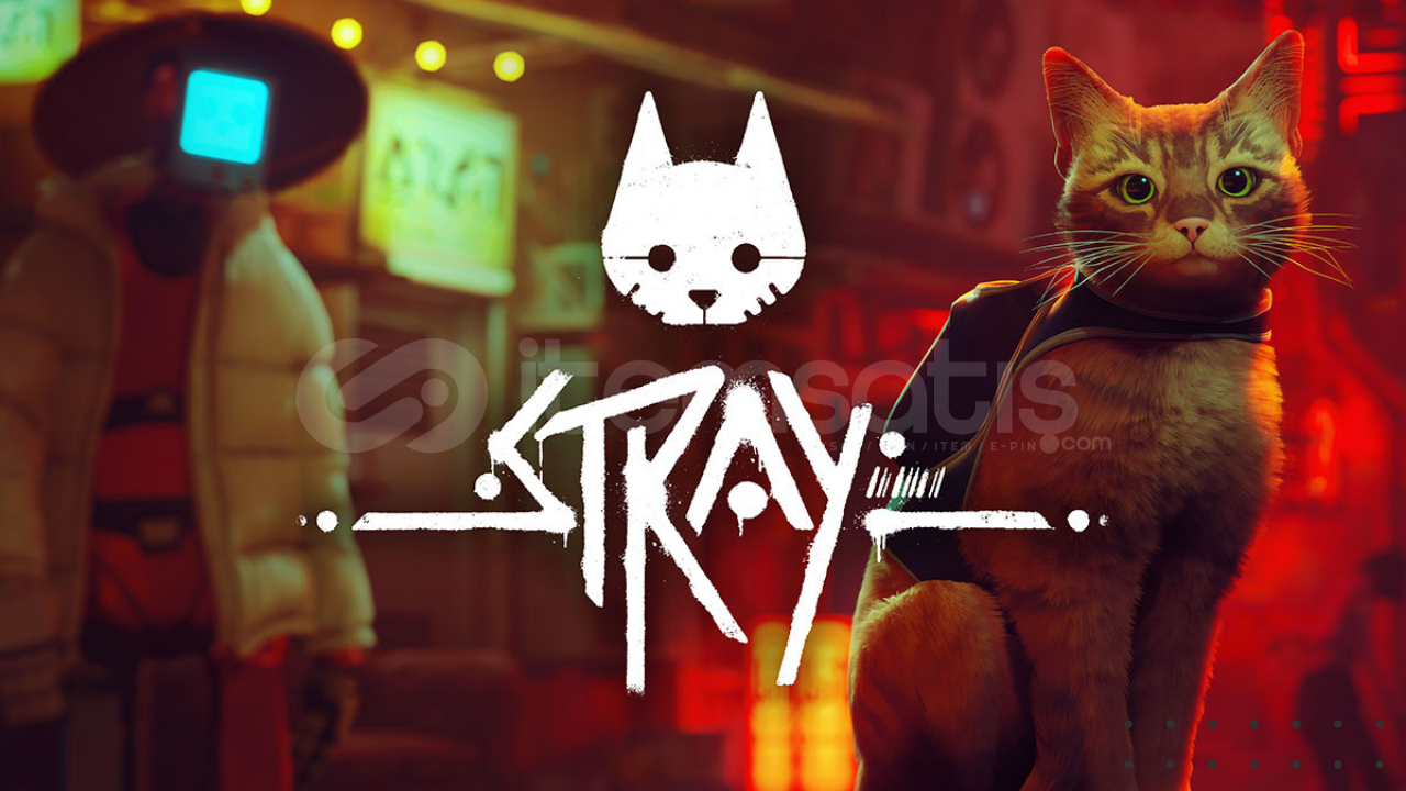 Stray + Garanti Stray + Garanti