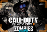 ⚡ Call of Duty Black Ops II Zombies + Garanti ⚡