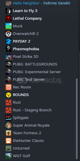SUDAN UCUZ STEAM HESABI