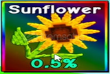 Sunflower Grow a garden hesap