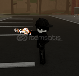 Sushi Db
