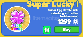 ✨Sword Warriors! Super Lucky !✨