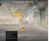 Talon Tiger Tooth (Factory New)