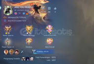 Tam 100 Hero 143 Skin MAX AMBLEM 