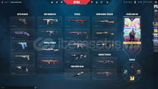 Tam mainlemelik bol skinli düşük MMR hesap!!!