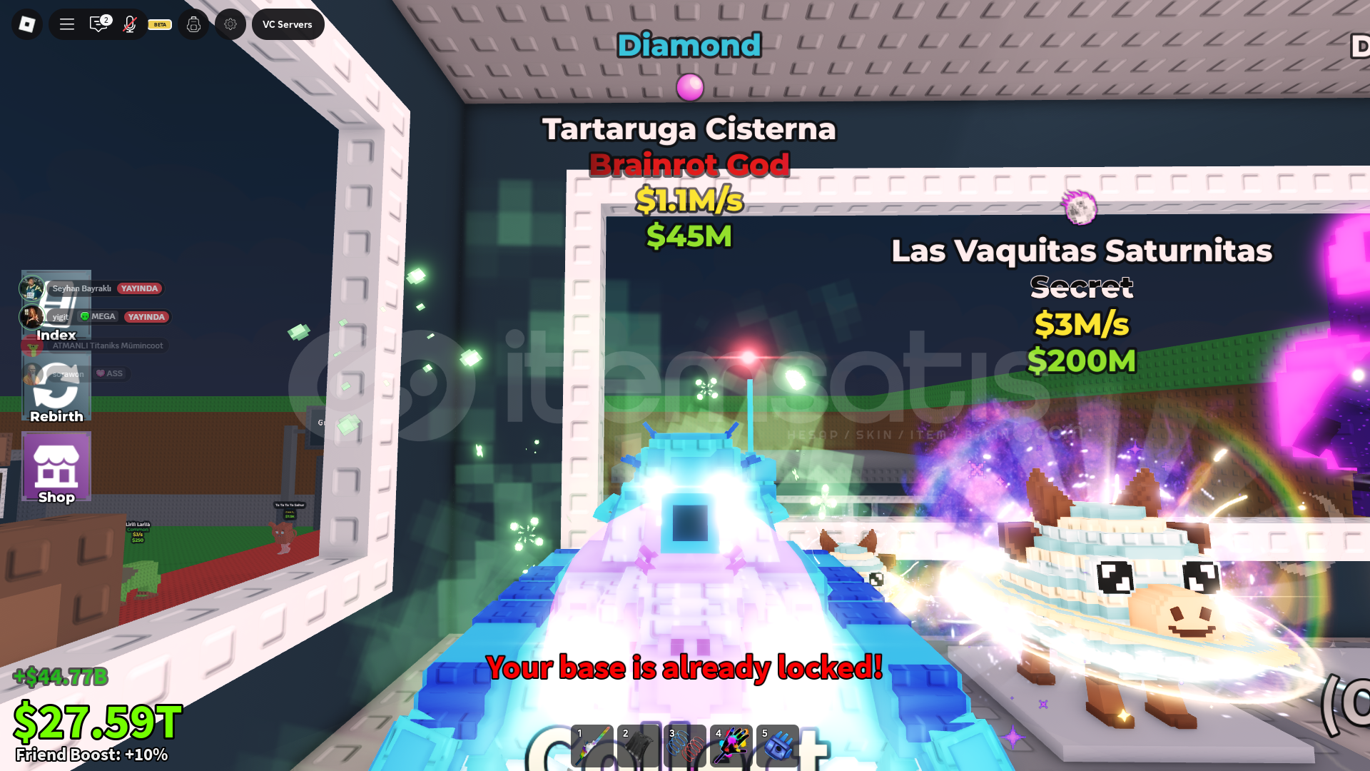 TARTARUGA 1M TARTARUGA 1M