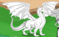 Taryn (Ejder) Pet Satılık