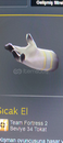 Team Fortress 2 Sıcak el