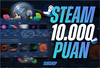 ANINDA ⭐️ 10.000 STEAM PUANI + GARANTİ⭐️