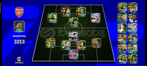 ⭐TEK BAĞ 3213 KG 110 İBRAHİMOVİC ÇOK UYGUN⭐