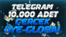 ⭐ Telegram 10000 Kanal/Grup Üye