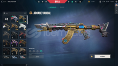 temiz 5 vandallı kelebekli hesap