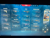 TEMİZ RANKSIZ SKİNLİ HESAP