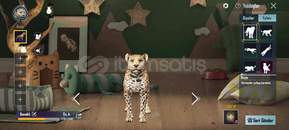 Temiz tek bağ sağlam hesap 