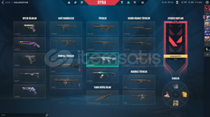 Temiz Valorant Hesabı 