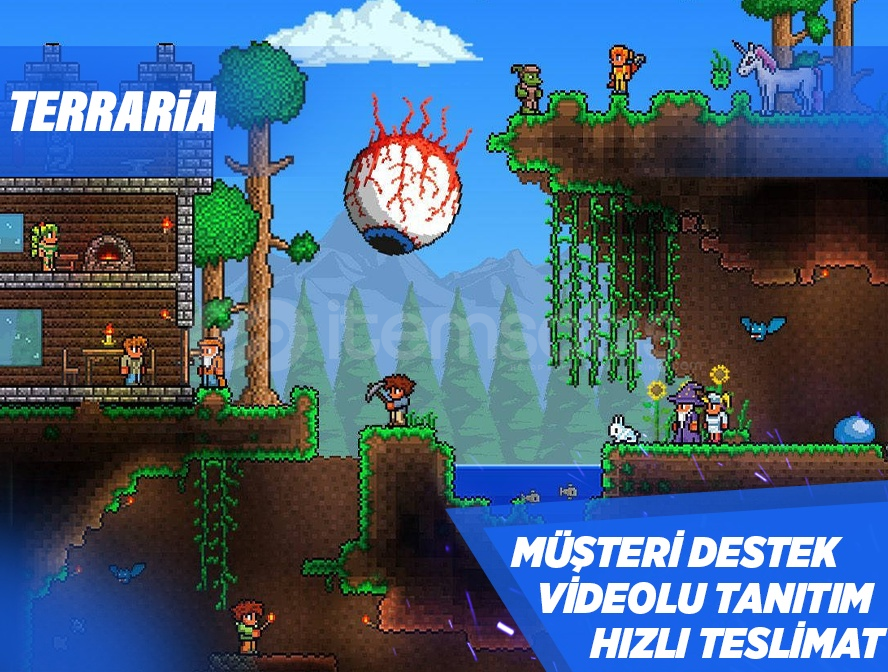 ✅ Terraria  ✅ Terraria