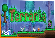 Terraria Garanti + Destek