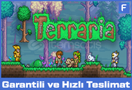 Terraria | Garanti + Sınırsız