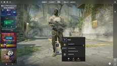 TERTEMIZ CS2 PRİME HESAP BANSIZ 