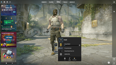 TERTEMIZ CS2 HESABI PRİME HESAP BANSIZ MAİLLİ