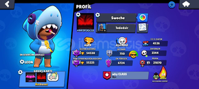 TERTEMİZ DOLU BRAWL STARS HESABI 