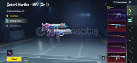 Tertemiz kadın hesabı