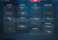 TERTEMIZ MAINLIK HESAP