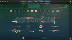 tertemiz prime hesap 15 dolarlık bp alınmıştır 