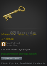 TF2 1 Adet Key