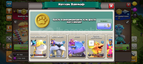Th17 hesap pazarlık payı vardır